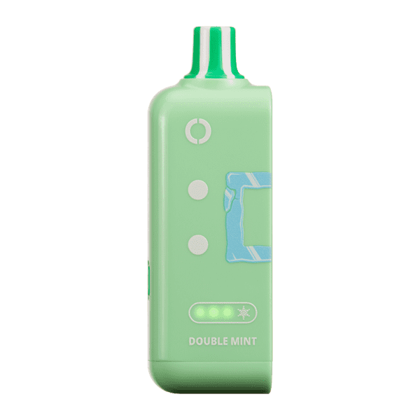 Double Mint Ice Off Stamp Ice Cube